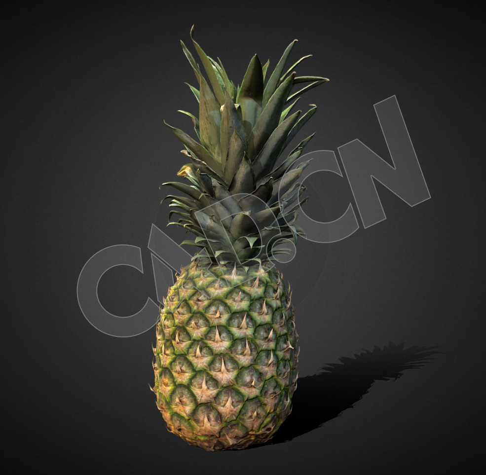 热带水果菠萝凤梨C4D模型