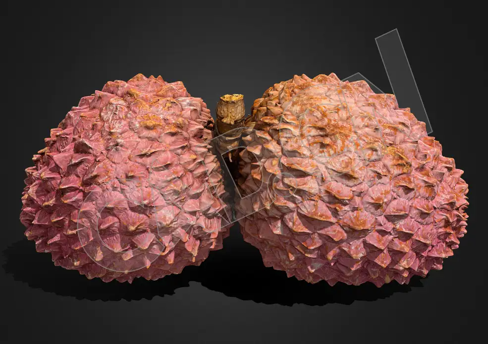 连在一起的荔枝水果C4D模型 litchi