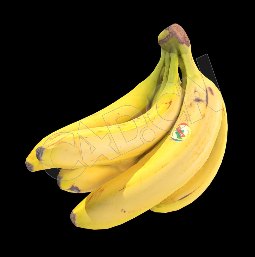 一把香蕉C4D模型 banana - C4D之家 - 54.jpg
