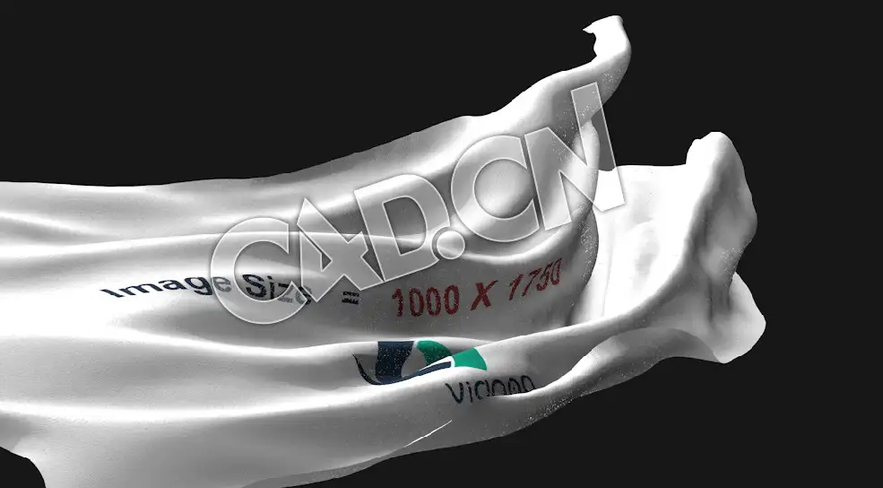 C4D飘扬的旗帜布料动画模型 flag - C4D之家 - 06.jpg