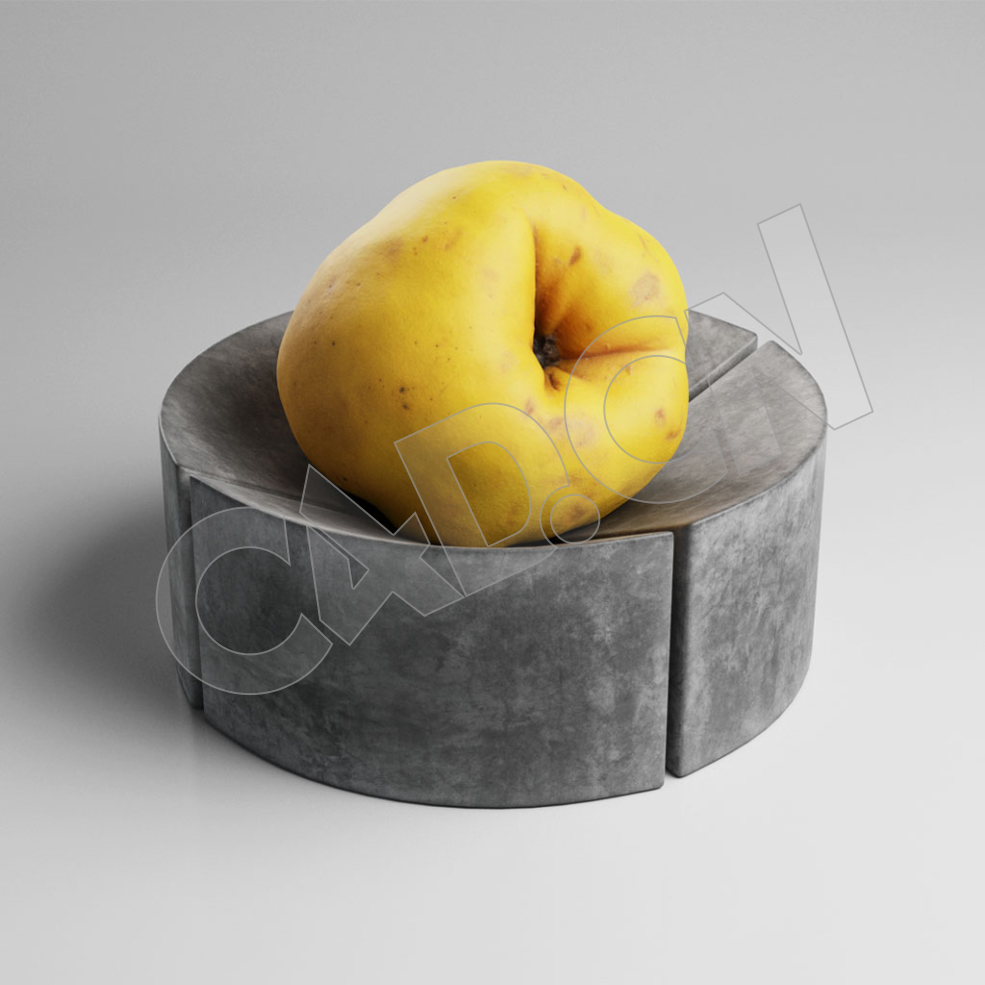 成熟的黄色榅桲C4D模型 Quince