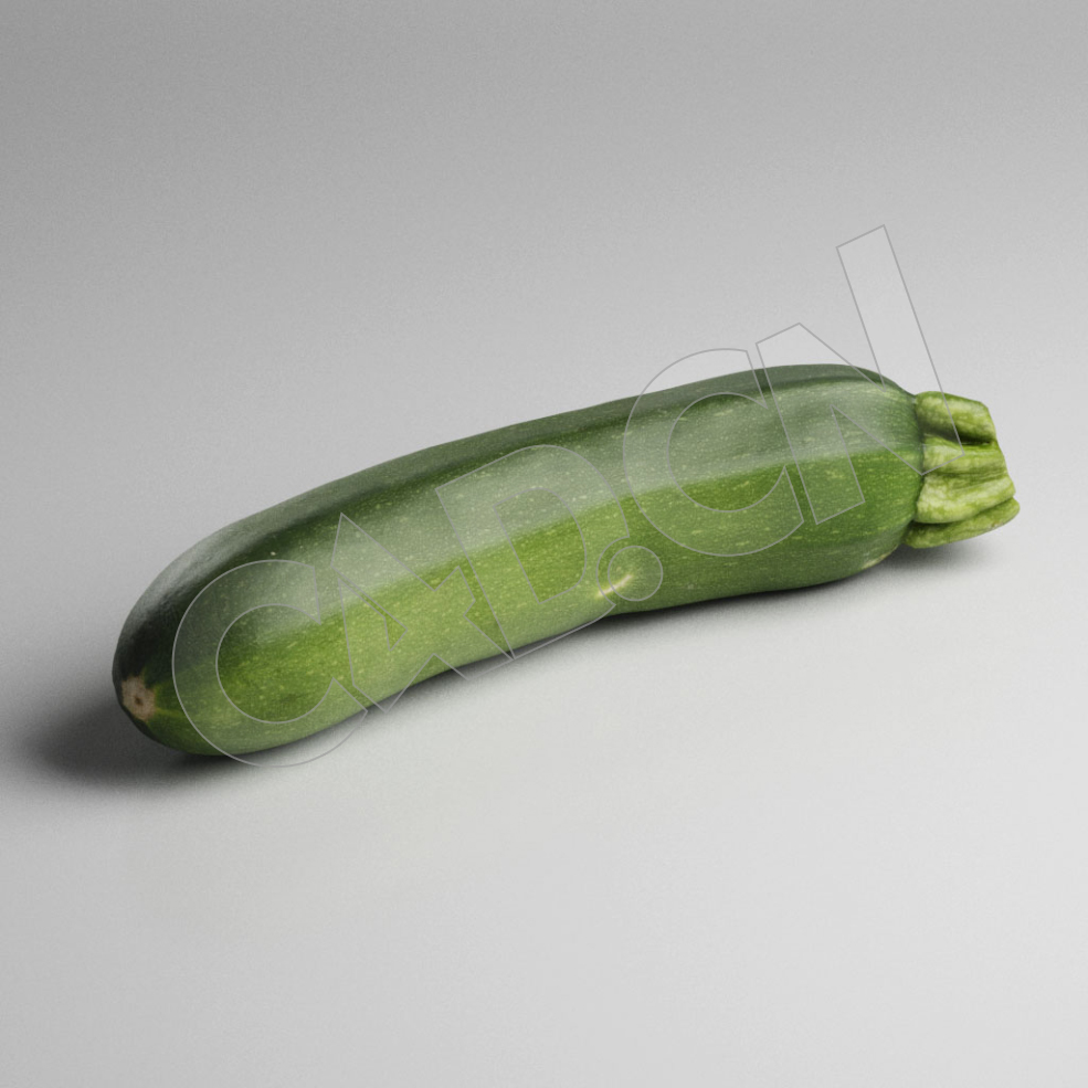 C4D一根长西葫芦夏南瓜蔬菜模型 Zucchini