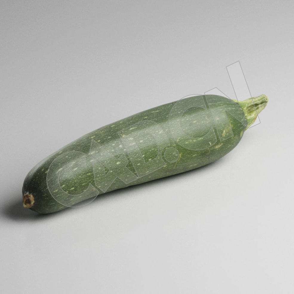 C4D蔬菜模型夏南瓜西葫芦模型 Zucchini - C4D之家 - 42.jpg