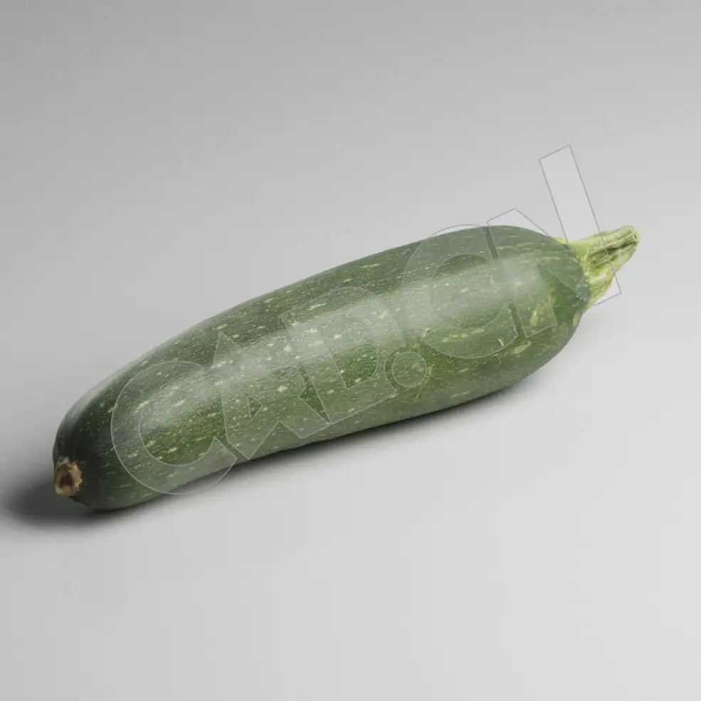 C4D蔬菜模型夏南瓜西葫芦模型 Zucchini