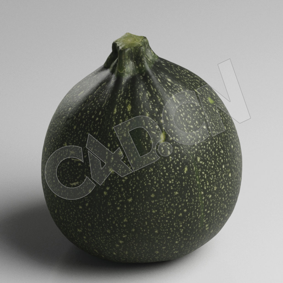 C4D圆形南瓜蔬菜模型 Zucchini - C4D之家 - 43.jpg