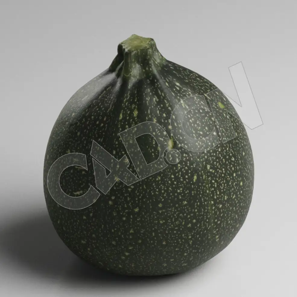 C4D圆形南瓜蔬菜模型 Zucchini - C4D之家 - 43.jpg