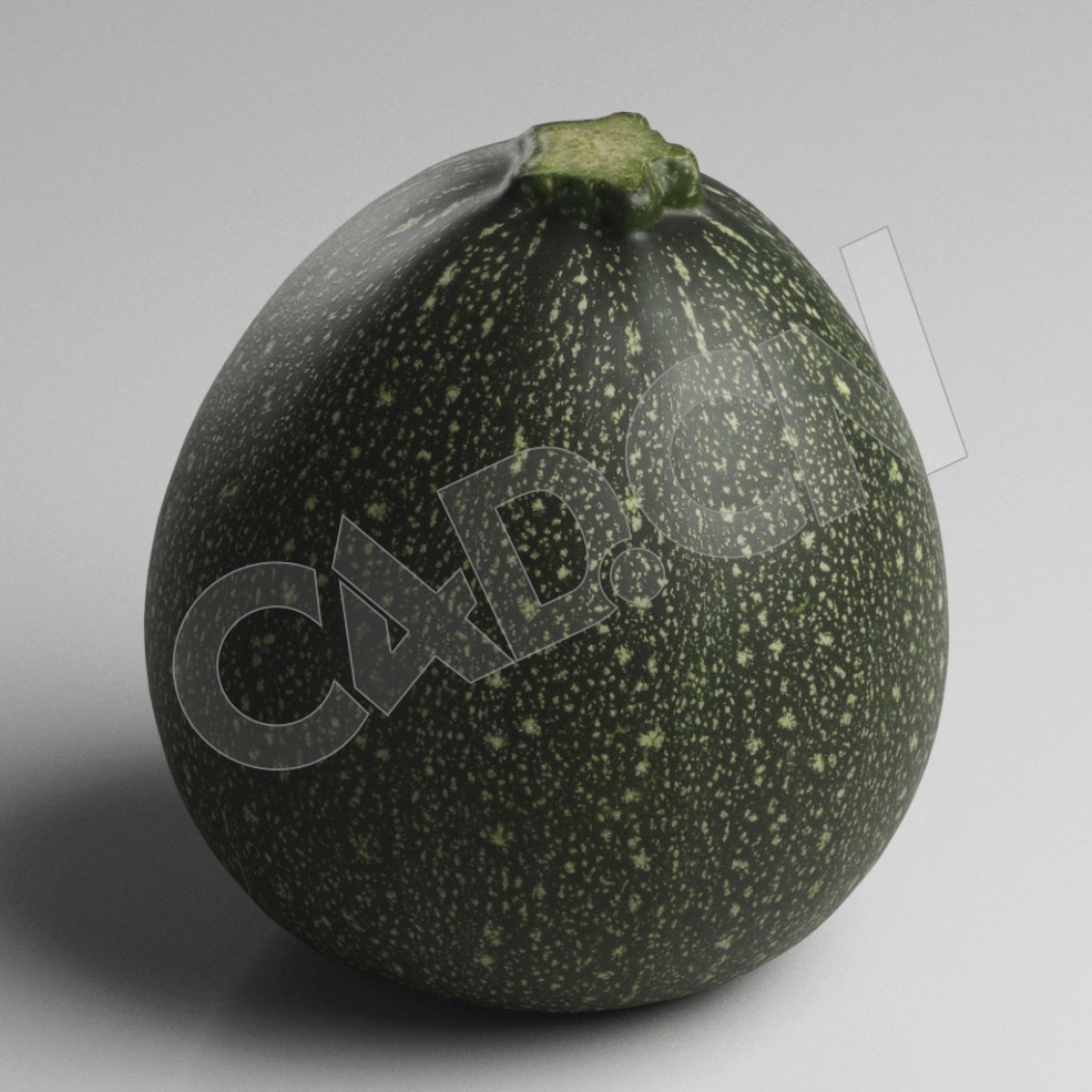 C4D绿色蔬菜夏南瓜模型 Zucchini - C4D之家 - 44.jpg