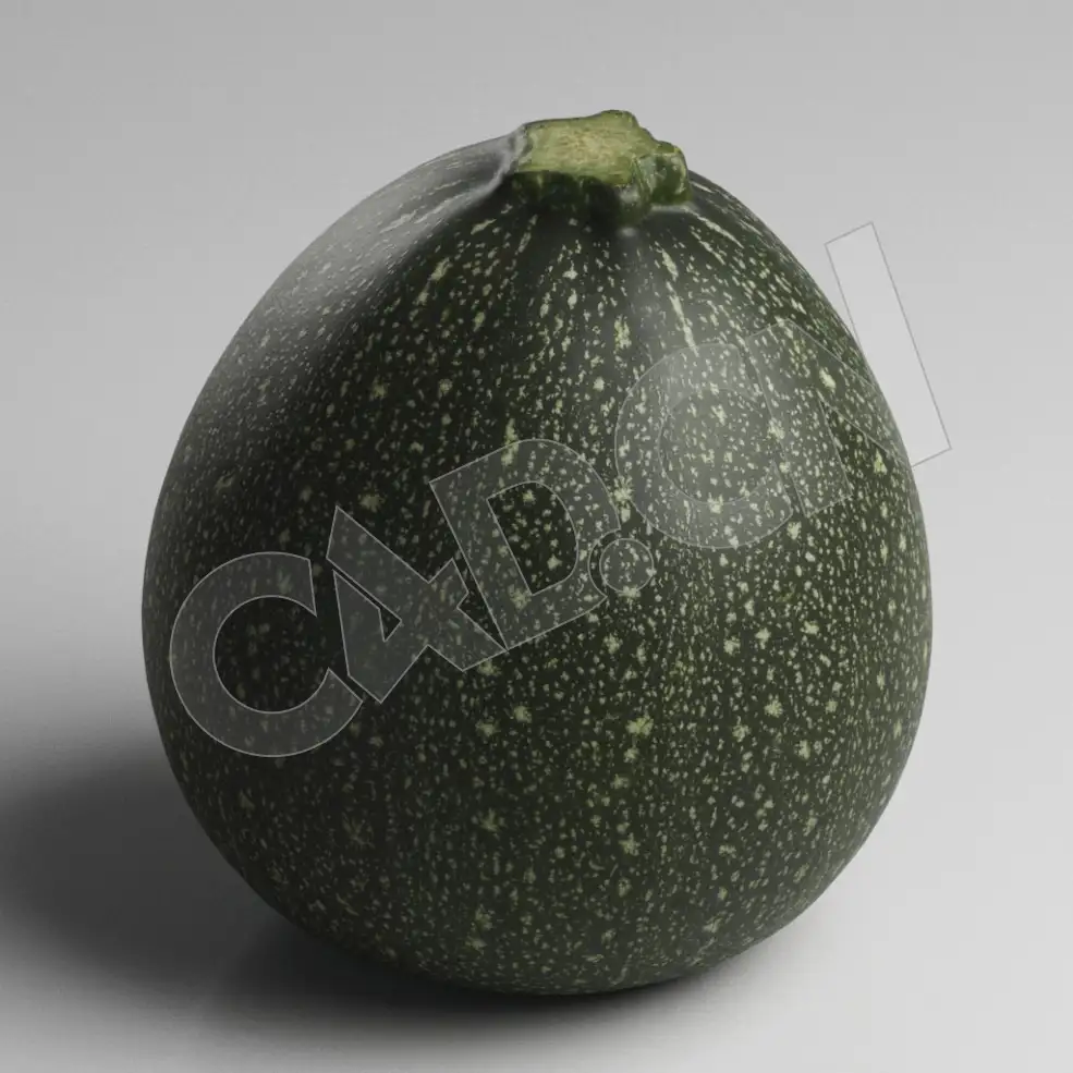 C4D绿色蔬菜夏南瓜模型 Zucchini - C4D之家 - 44.jpg