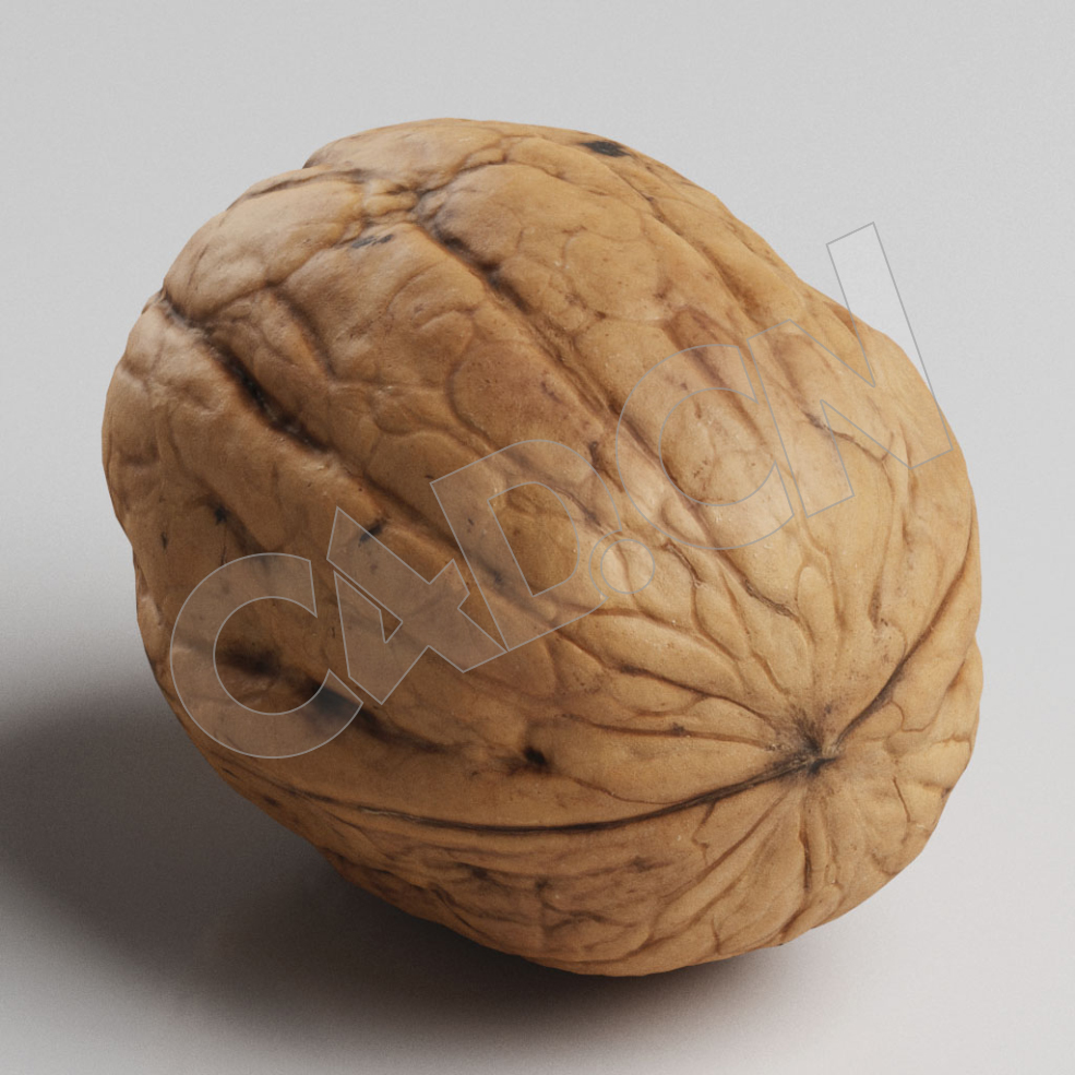 C4D坚果干核桃模型 Nuts