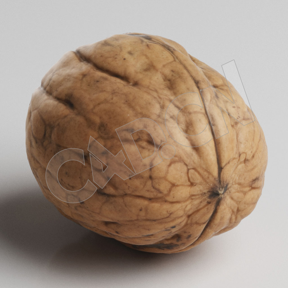 C4D去皮的干核桃坚果模型 Nuts
