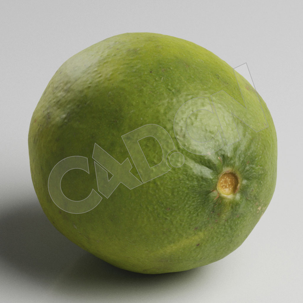 C4D绿橙酸橙水果模型 Lime