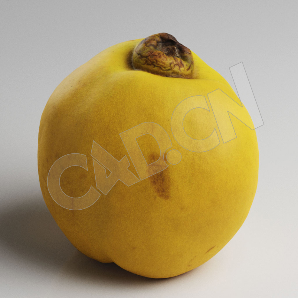 C4D榅桲黄色水果模型 Quince