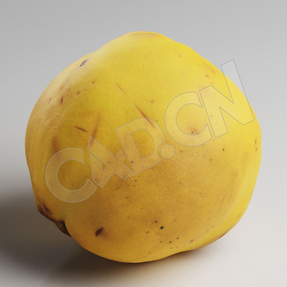 C4D成熟的榅桲水果模型 Quince - C4D之家 - 59.jpg