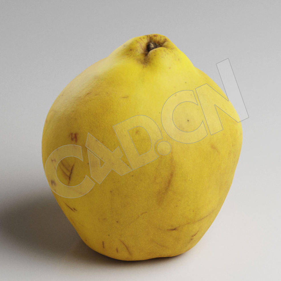 C4D新疆木瓜榅桲水果模型 Quince