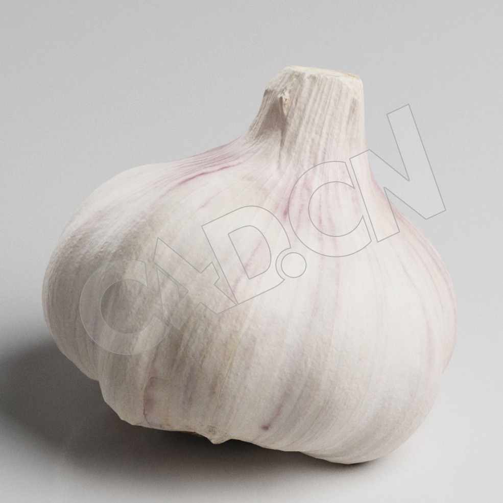 C4D白皮大蒜一头蒜模型 Garlic