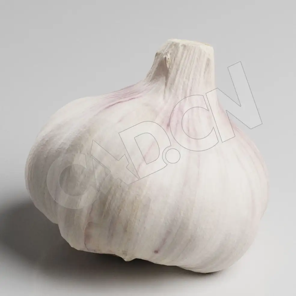 C4D白皮大蒜一头蒜模型 Garlic