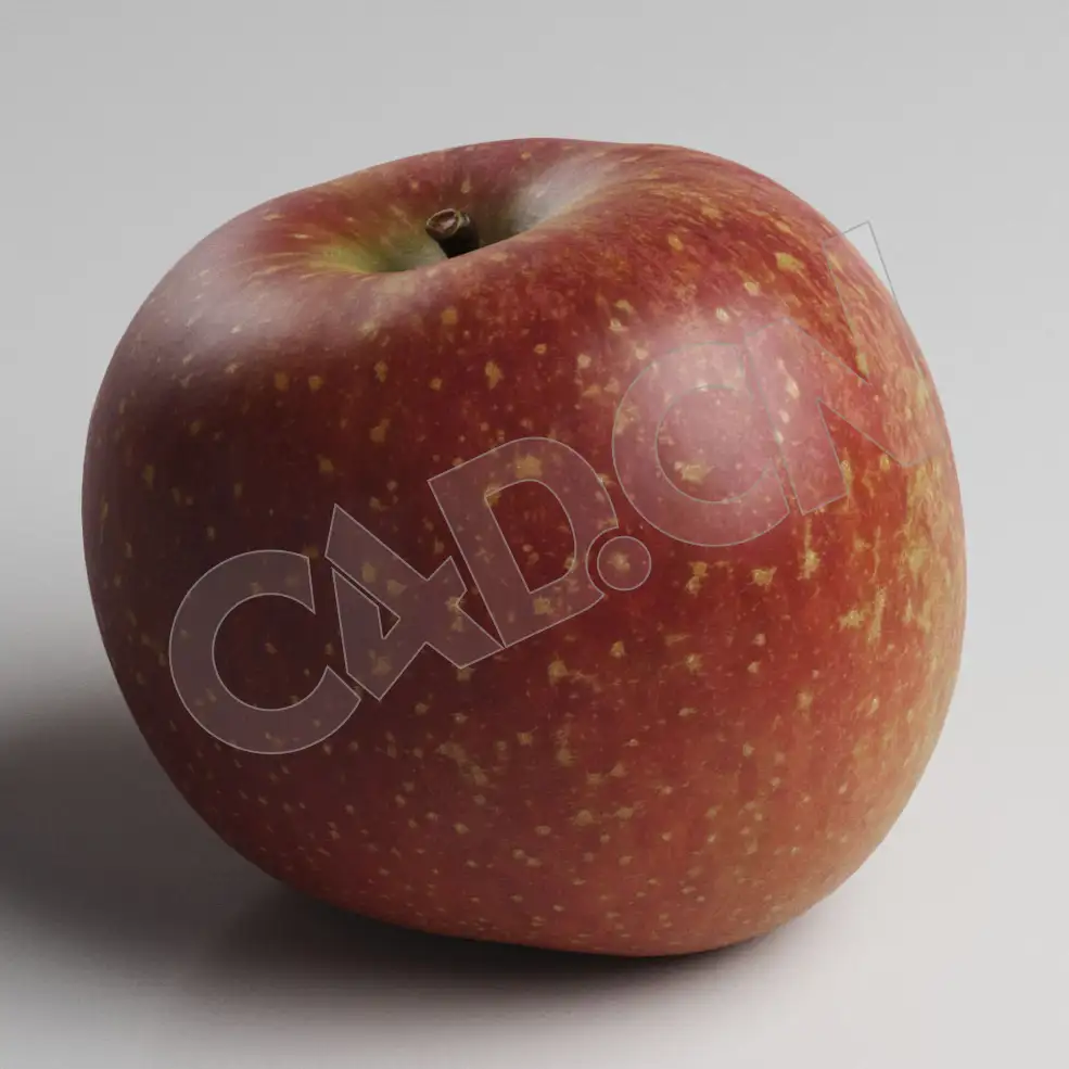 C4D成熟的红苹果模型 RedApple - C4D之家 - 70.jpg