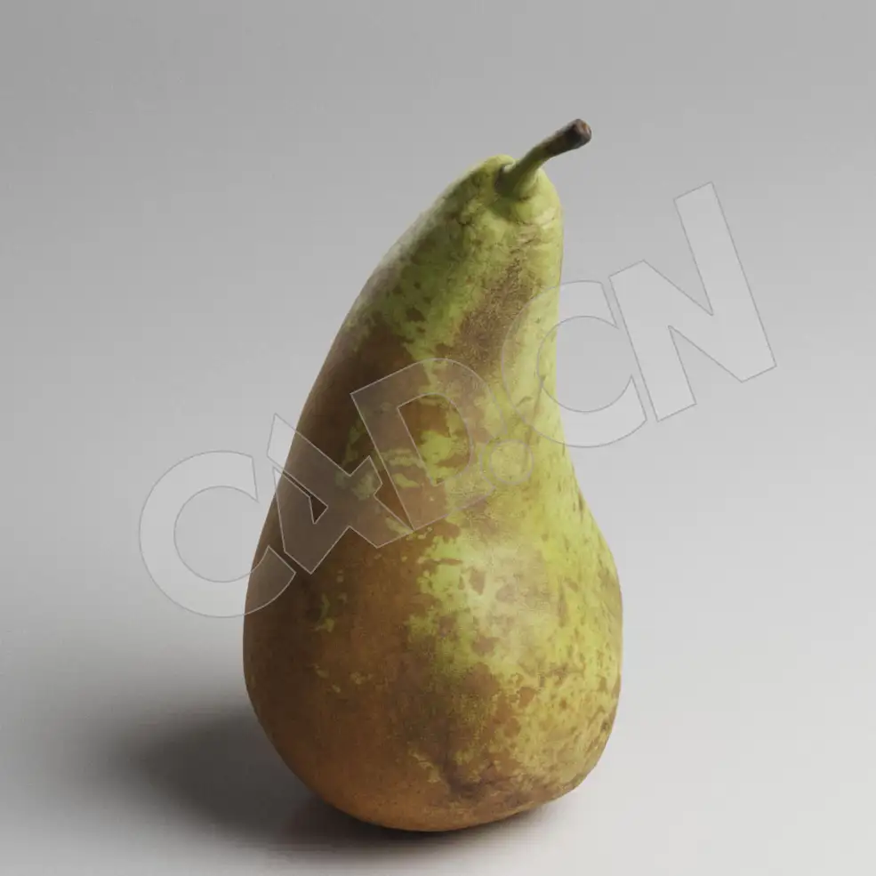 C4D水果巴梨模型 Pear - C4D之家 - 73.jpg