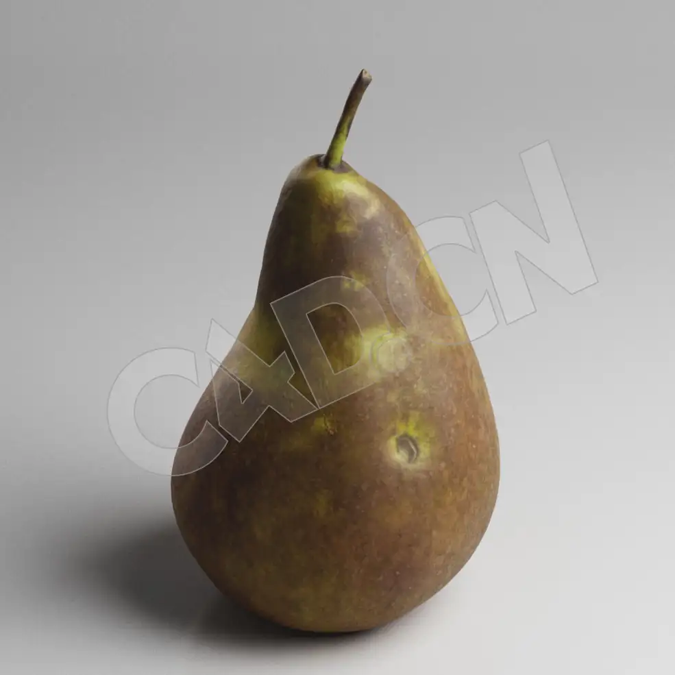 C4D西洋梨巴梨水果模型 Pear