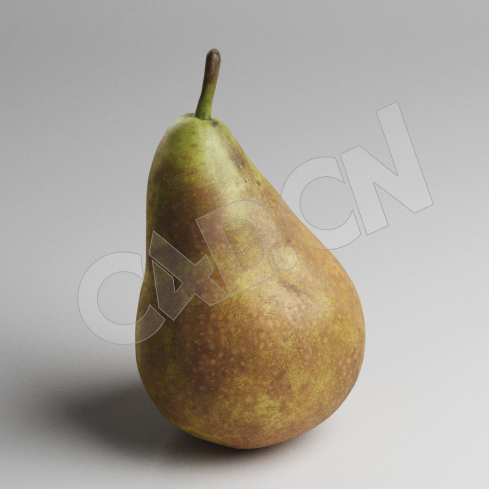 C4D巴梨秋洋梨水果模型 Pear