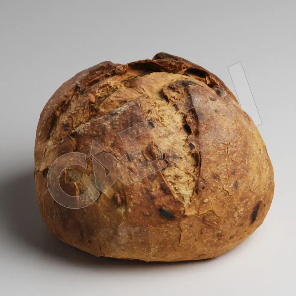 C4D圆形烤面包食品模型 Bread