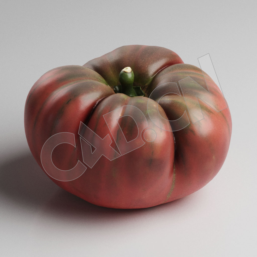 西红柿番茄蔬菜C4D模型 Tomatoe