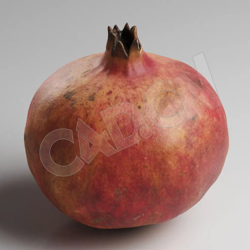 C4D成熟的红石榴模型 Pomegranade - C4D之家 - 85.jpg