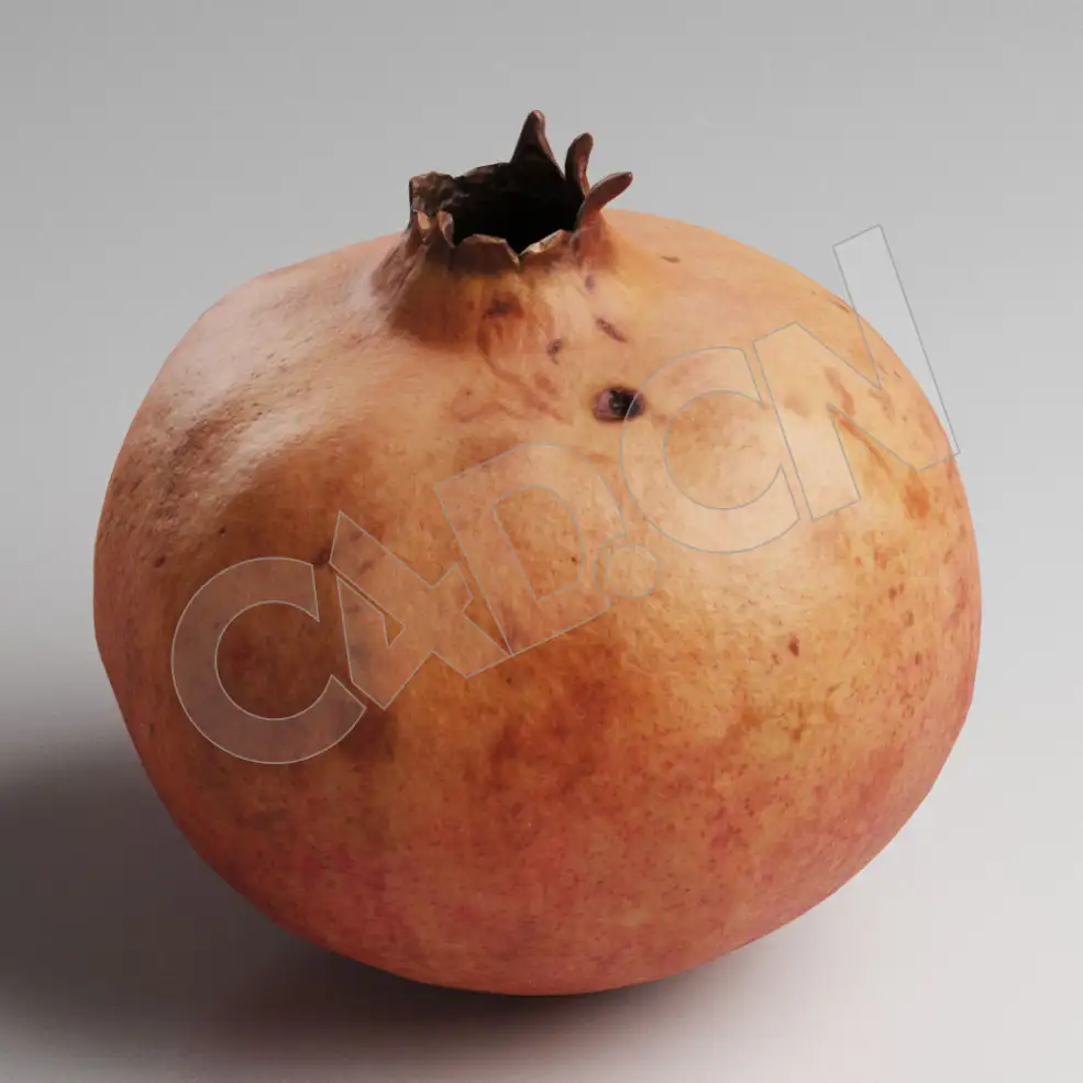 C4D石榴模型 Pomegranade - C4D之家 - 87.jpg
