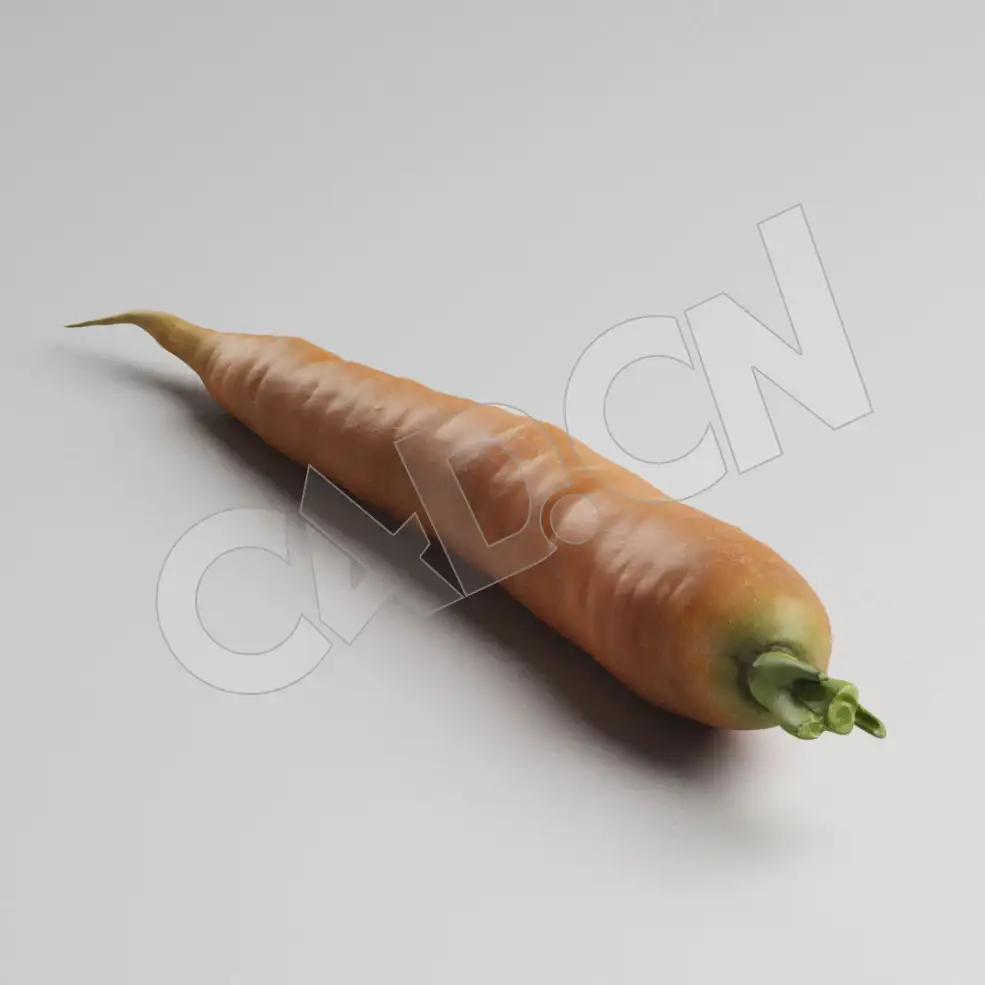C4D蔬菜胡萝卜模型 Carrot