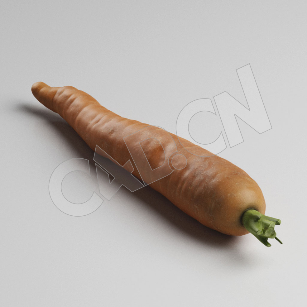 C4D胡萝卜模型 Carrot