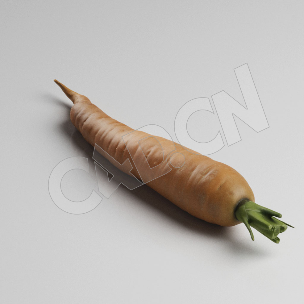 C4D胡萝卜蔬菜模型 Carrot