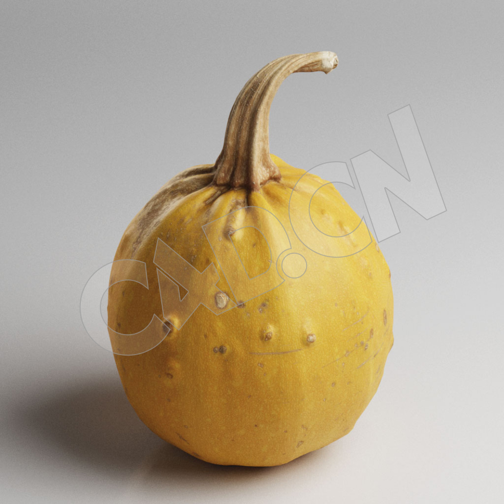 C4D黄色南瓜蔬菜模型 Pumpkin - C4D之家 - 91.jpg