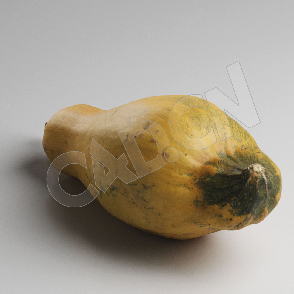 C4D成熟的长南瓜蔬菜模型 Pumpkin - C4D之家 - 92.jpg