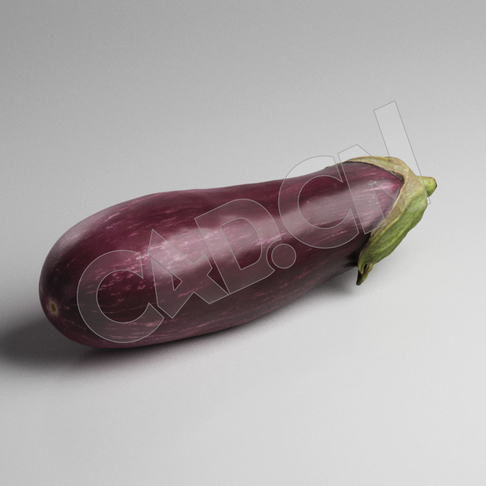 C4D紫色长茄子蔬菜模型 Eggplant - C4D之家 - 93.jpg