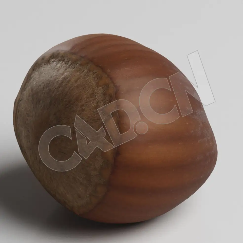 C4D坚果食品榛子模型 Hazelnut