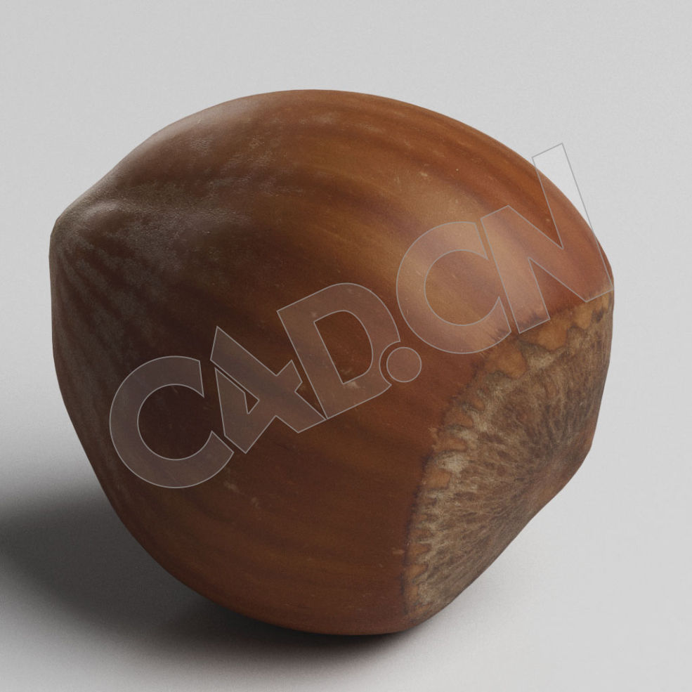 C4D榛子果实模型 Hazelnut