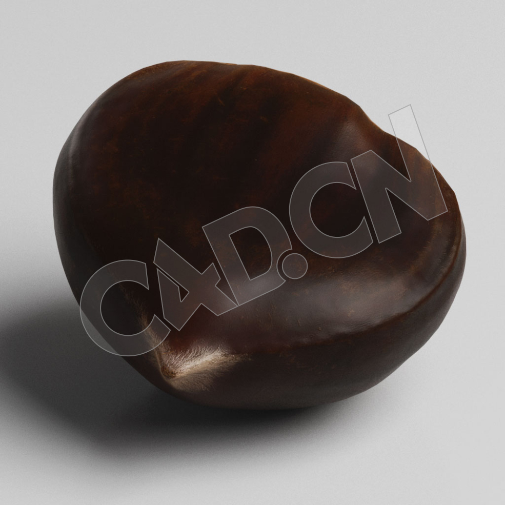 C4D去皮的板栗模型 Chestnut