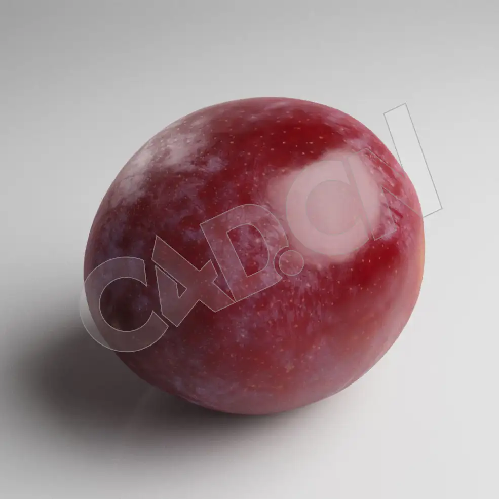 C4D李子模型 Plum - C4D之家 - 114.jpg