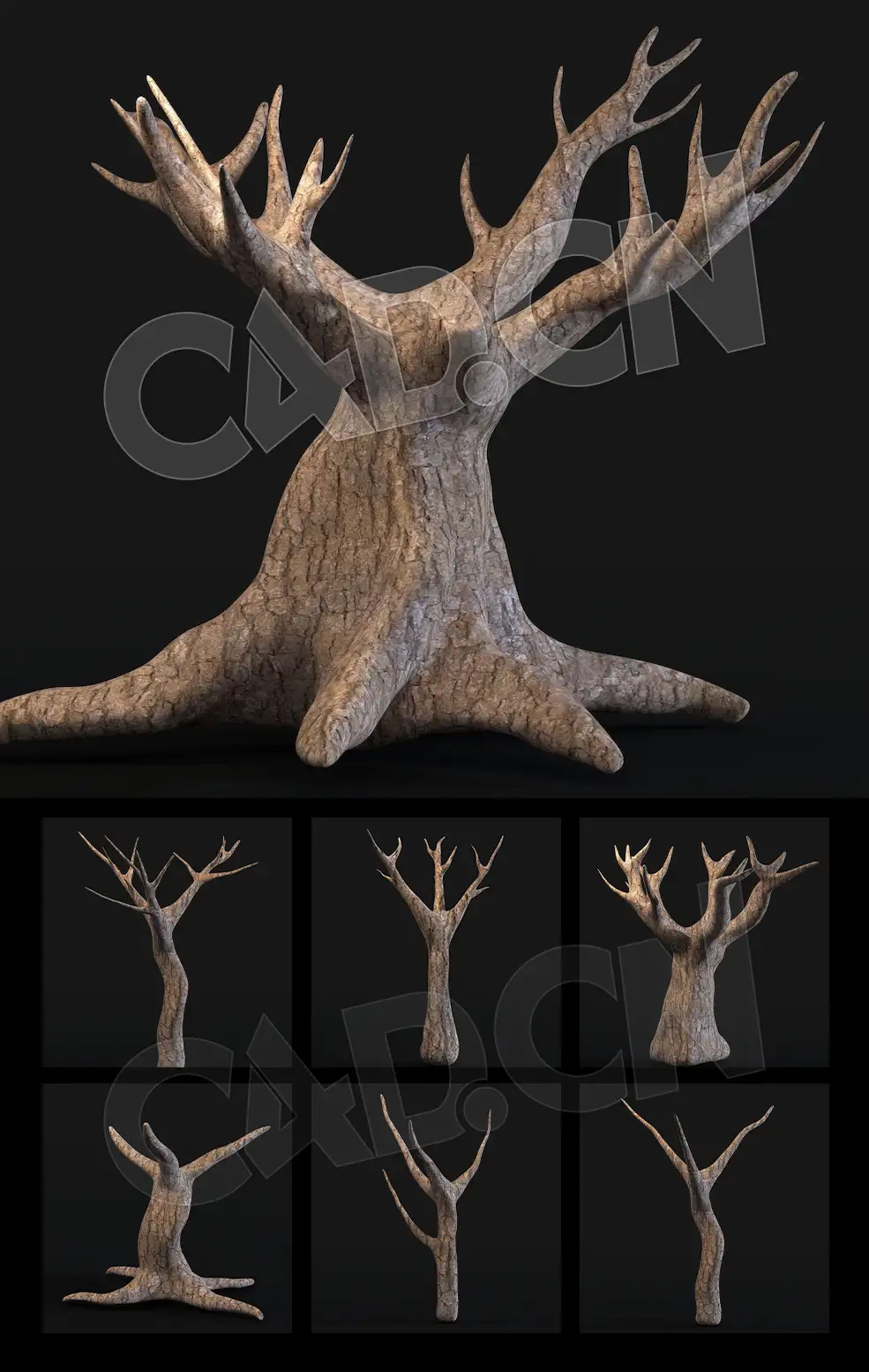 8个枯树杆模型+117个ZBrush笔刷预设 Artstation – Tree Maker