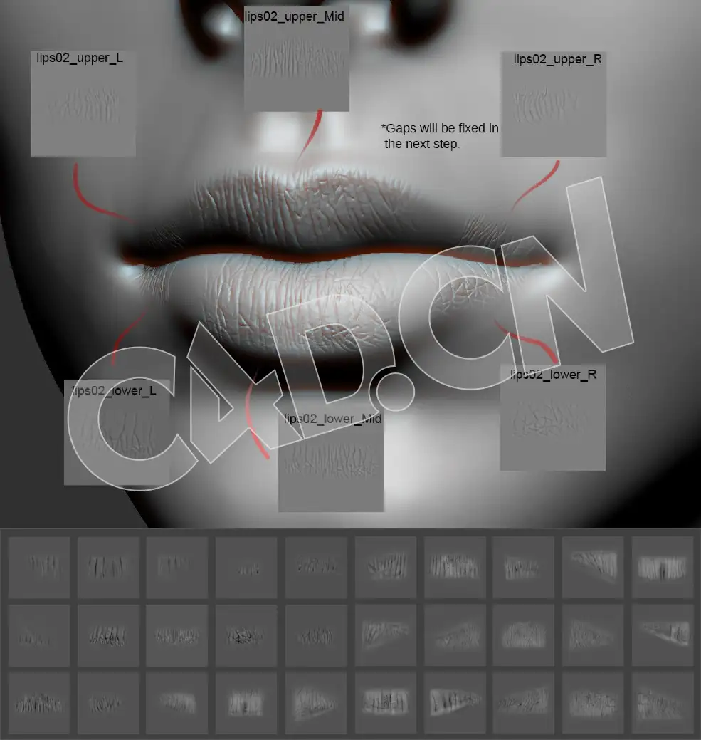 27张人物嘴唇细节纹理深度贴图素材 Artstation – Lips Detail Alpha Pack - C4D之家 - lips_workflow_zbrush-5.jpg