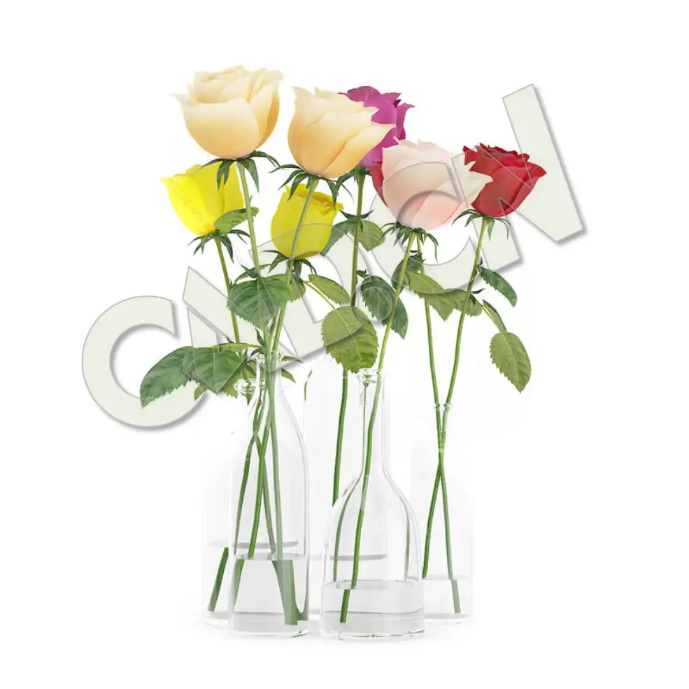 C4D玫瑰花插花装饰花卉模型 peony flower - C4D之家 - cgaxis_models_63_02.jpg