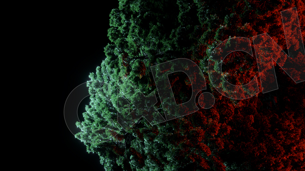 C4D OCTANE白松树叶渲染模型 WhitePine - C4D之家 - Chapter-5.jpg