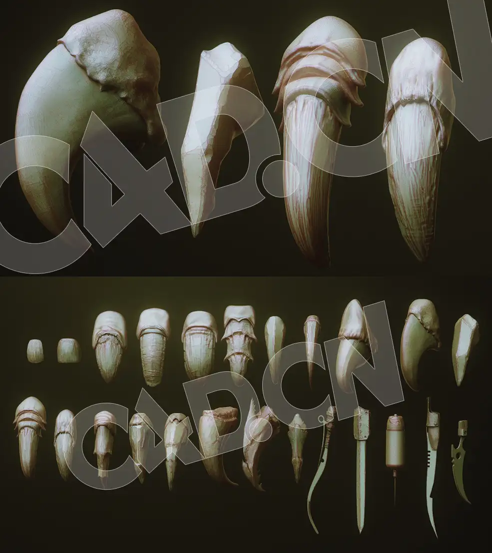 24个C4D锋利动物爪子模型合集 24 Character & Creature Claws & Nails - C4D之家 - nails003.jpg