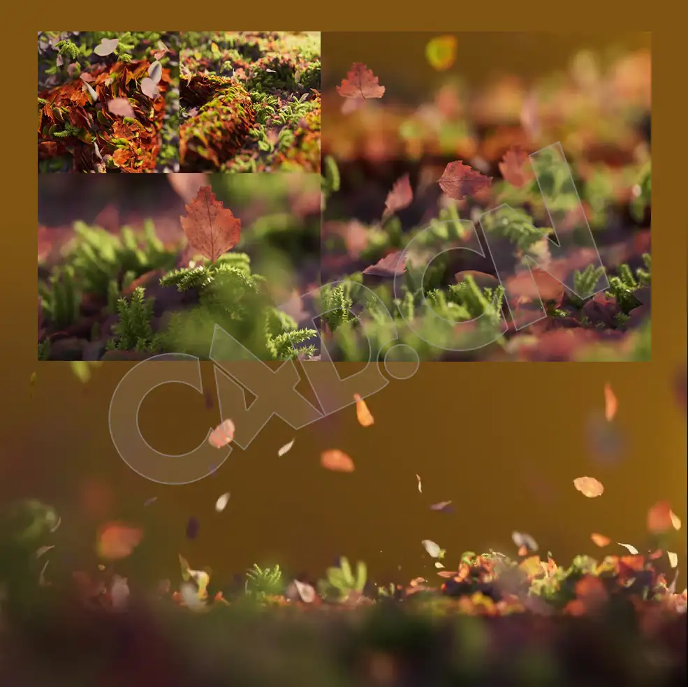 C4D Redshift结合XParticles粒子制作树叶汇聚动画工程 Leaves