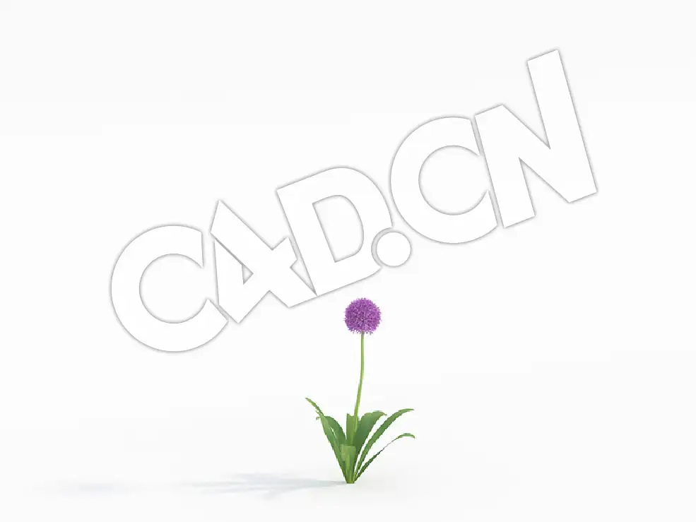 C4D紫色花卉大花葱模型 Allium_A - C4D之家 - 01.jpg