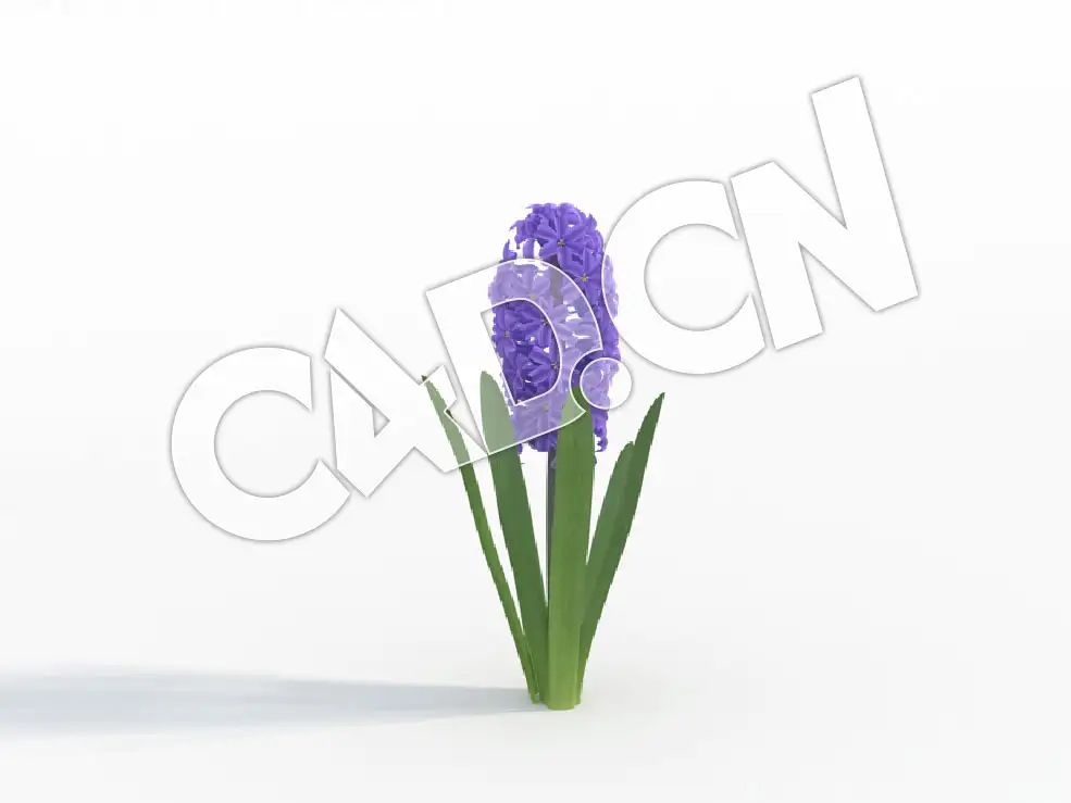 C4D蓝色代夫特风信子花卉模型 Hyacinthus_A - C4D之家 - 41.jpg