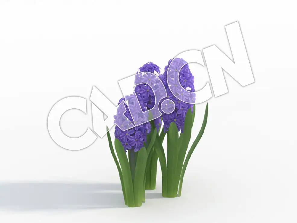 C4D蓝紫色风信子花卉模型 Hyacinthus_G - C4D之家 - 47.jpg