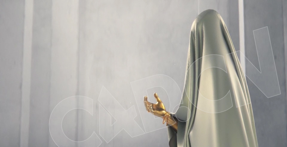 C4D Redshift布料遮盖人物伸手动画工程 Holdframe SH 60 cloth v03