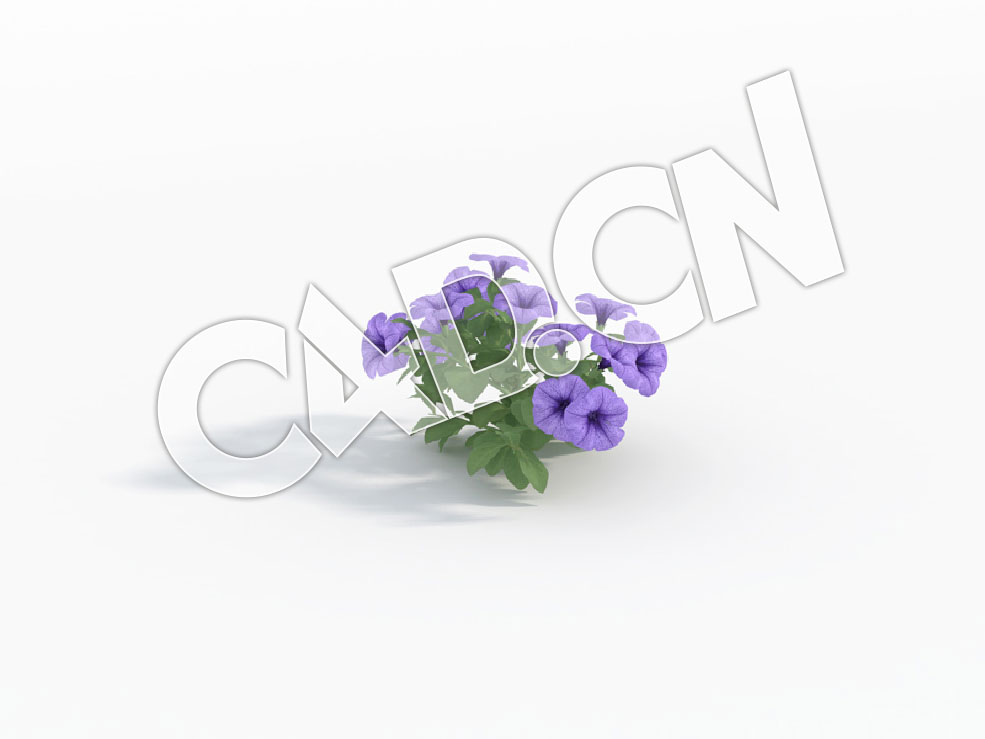 C4D浅蓝色矮牵牛花模型 Petunia_A - C4D之家 - 82.jpg
