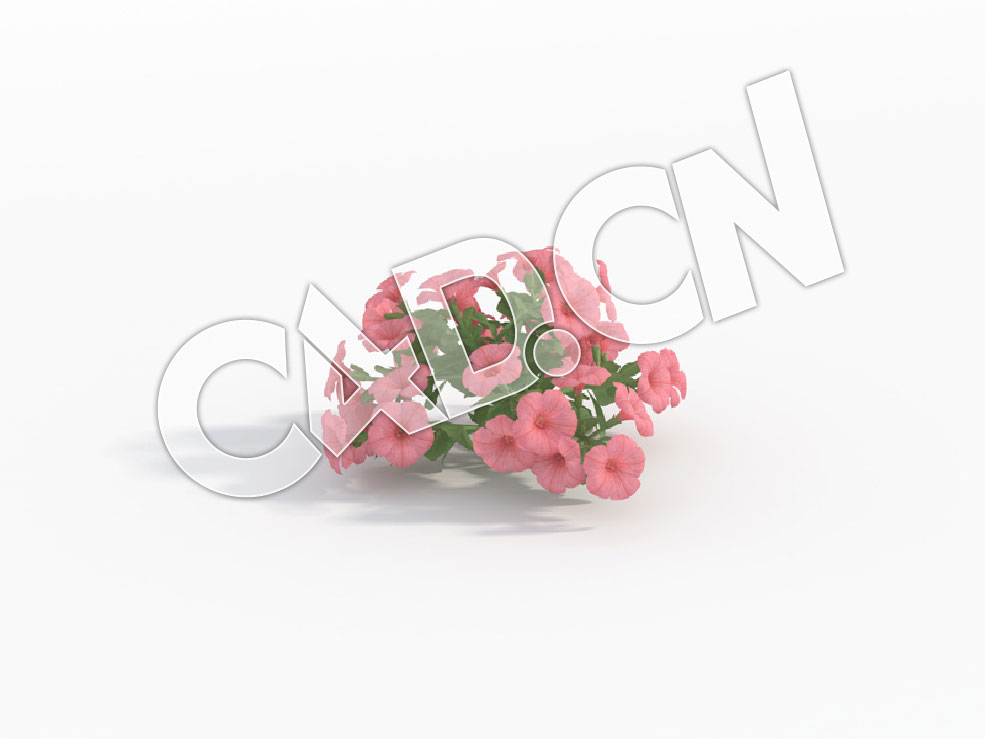 C4D粉红色矮牵牛花模型 Petunia_D - C4D之家 - 85.jpg